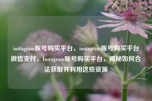 instagram账号购买平台，instagram账号购买平台微信支付，Instagram账号购买平台，揭秘如何合法获取并利用这些资源