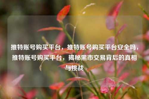 推特账号购买平台，推特账号购买平台安全吗，推特账号购买平台，揭秘黑市交易背后的真相与挑战