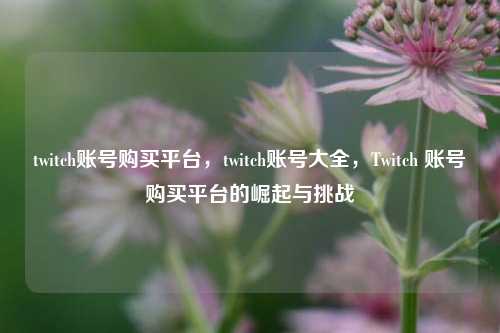 twitch账号购买平台，twitch账号大全，Twitch 账号购买平台的崛起与挑战