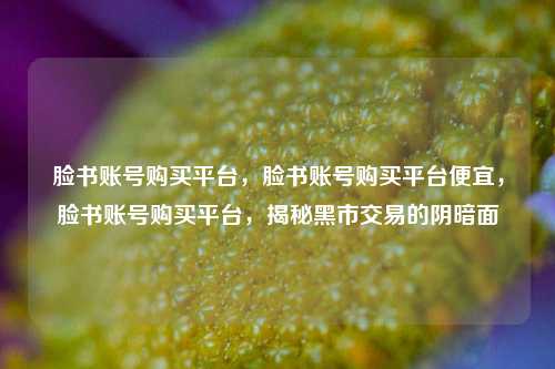 脸书账号购买平台，脸书账号购买平台便宜，脸书账号购买平台，揭秘黑市交易的阴暗面