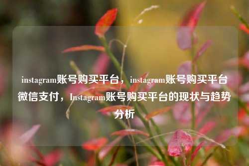 instagram账号购买平台，instagram账号购买平台微信支付	，Instagram账号购买平台的现状与趋势分析  第1张