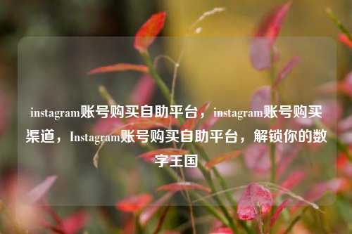 instagram账号购买自助平台，instagram账号购买渠道，Instagram账号购买自助平台，解锁你的数字王国