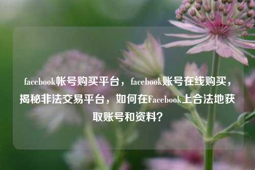 facebook帐号购买平台，facebook账号在线购买，揭秘非法交易平台，如何在Facebook上合法地获取账号和资料？