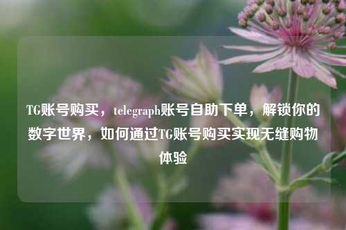TG账号购买	，telegraph账号自助下单，解锁你的数字世界，如何通过TG账号购买实现无缝购物体验  第1张