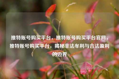 推特账号购买平台，推特账号购买平台官网，推特账号购买平台，揭秘非法牟利与合法盈利的边界