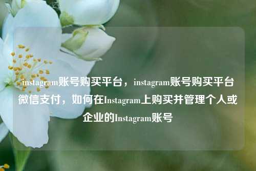 instagram账号购买平台，instagram账号购买平台微信支付，如何在Instagram上购买并管理个人或企业的Instagram账号