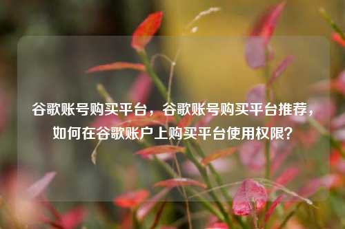 谷歌账号购买平台，谷歌账号购买平台推荐，如何在谷歌账户上购买平台使用权限？