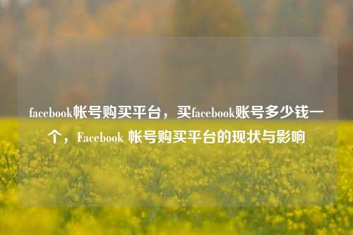 facebook帐号购买平台，买facebook账号多少钱一个，Facebook 帐号购买平台的现状与影响