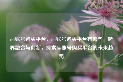 ins账号购买平台，ins账号购买平台有哪些，跨界融合与创新，探索Ins账号购买平台的未来趋势