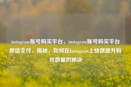 instagram账号购买平台，instagram账号购买平台微信支付，揭秘，如何在Instagram上快速提升粉丝数量的秘诀