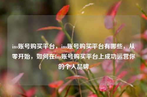 ins账号购买平台，ins账号购买平台有哪些，从零开始，如何在Ins账号购买平台上成功运营你的个人品牌