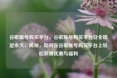 谷歌账号购买平台，谷歌账号购买平台安全稳定永久，揭秘，如何在谷歌账号购买平台上轻松获得优惠与福利