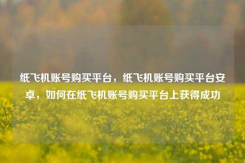 纸飞机账号购买平台，纸飞机账号购买平台安卓，如何在纸飞机账号购买平台上获得成功