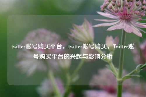 twitter账号购买平台，twitter帐号购买，Twitter账号购买平台的兴起与影响分析