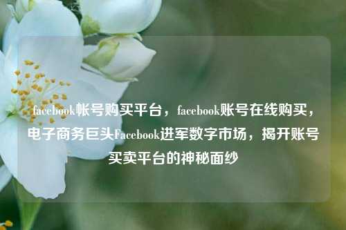 facebook帐号购买平台，facebook账号在线购买，电子商务巨头Facebook进军数字市场，揭开账号买卖平台的神秘面纱