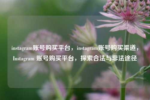 instagram账号购买平台	，instagram账号购买渠道，Instagram 账号购买平台，探索合法与非法途径  第1张
