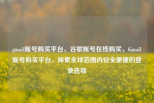 gmail账号购买平台，谷歌账号在线购买，Gmail账号购买平台，探索全球范围内安全便捷的登录选项