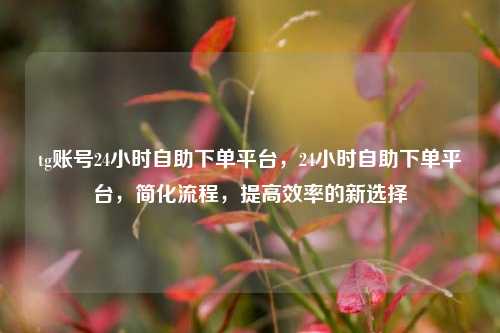 tg账号24小时自助下单平台，24小时自助下单平台，简化流程，提高效率的新选择