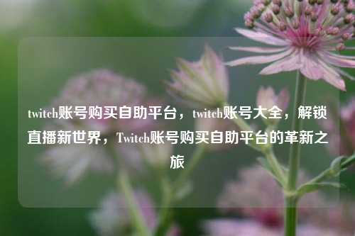 twitch账号购买自助平台，twitch账号大全，解锁直播新世界，Twitch账号购买自助平台的革新之旅