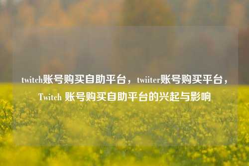 twitch账号购买自助平台，twiiter账号购买平台，Twitch 账号购买自助平台的兴起与影响