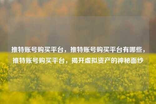 推特账号购买平台，推特账号购买平台有哪些，推特账号购买平台，揭开虚拟资产的神秘面纱