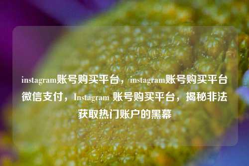 instagram账号购买平台，instagram账号购买平台微信支付	，Instagram 账号购买平台，揭秘非法获取热门账户的黑幕  第1张