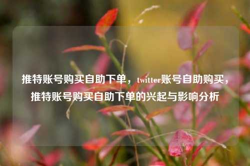 推特账号购买自助下单，twitter账号自助购买，推特账号购买自助下单的兴起与影响分析