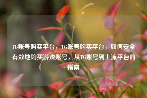 TG账号购买平台，TG账号购买平台，如何安全有效地购买游戏账号，从TG账号到主流平台的指南