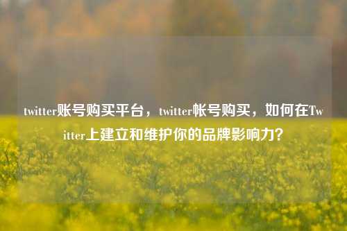 twitter账号购买平台，twitter帐号购买，如何在Twitter上建立和维护你的品牌影响力？
