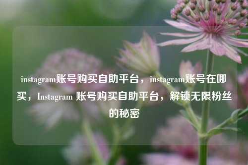 instagram账号购买自助平台	，instagram账号在哪买，Instagram 账号购买自助平台，解锁无限粉丝的秘密  第1张