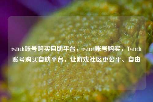 twitch账号购买自助平台，twitte账号购买，Twitch账号购买自助平台，让游戏社区更公平、自由