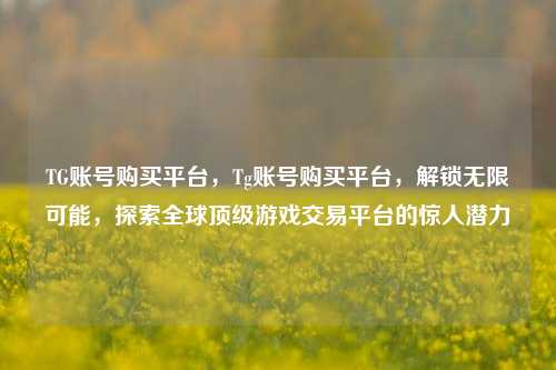 TG账号购买平台，Tg账号购买平台，解锁无限可能，探索全球顶级游戏交易平台的惊人潜力