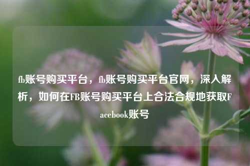 fb账号购买平台，fb账号购买平台官网，深入解析，如何在FB账号购买平台上合法合规地获取Facebook账号