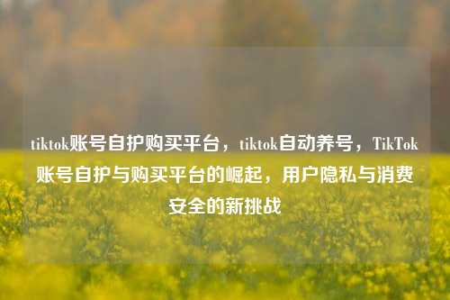 tiktok账号自护购买平台，tiktok自动养号，TikTok账号自护与购买平台的崛起，用户隐私与消费安全的新挑战