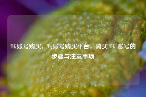 TG账号购买，Tg账号购买平台，购买 TG 账号的步骤与注意事项
