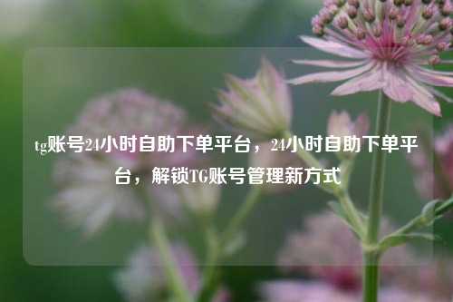 tg账号24小时自助下单平台，24小时自助下单平台，解锁TG账号管理新方式