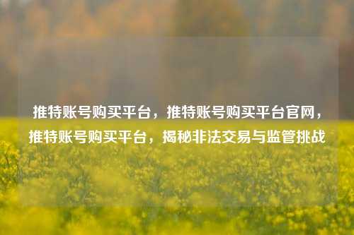 推特账号购买平台，推特账号购买平台官网，推特账号购买平台，揭秘非法交易与监管挑战