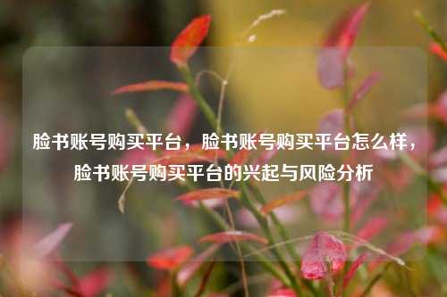 脸书账号购买平台，脸书账号购买平台怎么样，脸书账号购买平台的兴起与风险分析