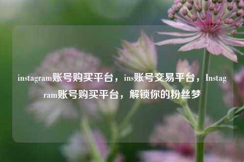 instagram账号购买平台，ins账号交易平台，Instagram账号购买平台，解锁你的粉丝梦