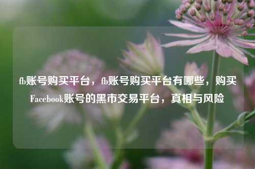 fb账号购买平台，fb账号购买平台有哪些，购买Facebook账号的黑市交易平台，真相与风险