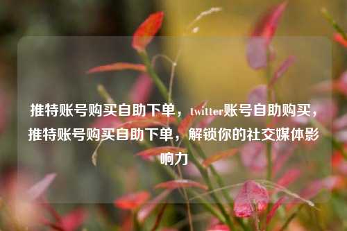 推特账号购买自助下单	，twitter账号自助购买，推特账号购买自助下单，解锁你的社交媒体影响力  第1张