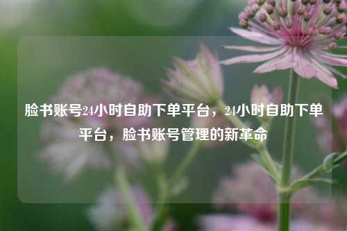 脸书账号24小时自助下单平台，24小时自助下单平台，脸书账号管理的新革命
