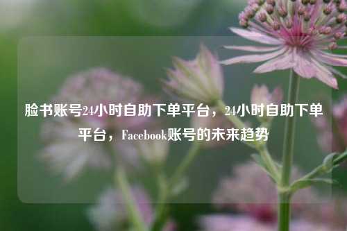脸书账号24小时自助下单平台，24小时自助下单平台，Facebook账号的未来趋势