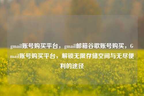 gmail账号购买平台，gmail邮箱谷歌账号购买，Gmail账号购买平台，解锁无限存储空间与无尽便利的途径
