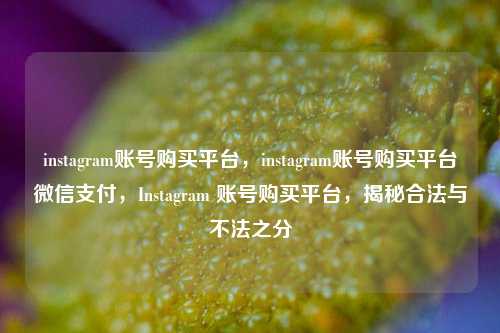 instagram账号购买平台，instagram账号购买平台微信支付，Instagram 账号购买平台，揭秘合法与不法之分  第1张