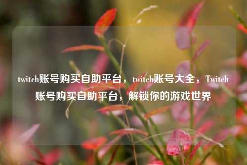 twitch账号购买自助平台，twitch账号大全，Twitch账号购买自助平台，解锁你的游戏世界