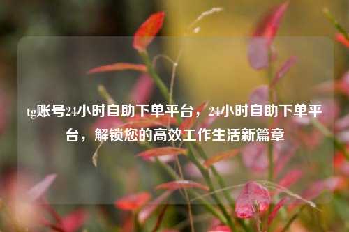 tg账号24小时自助下单平台，24小时自助下单平台，解锁您的高效工作生活新篇章