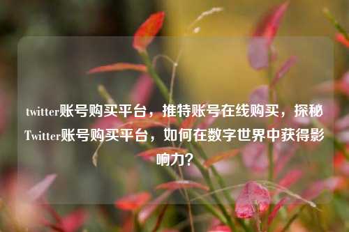 twitter账号购买平台，推特账号在线购买，探秘Twitter账号购买平台，如何在数字世界中获得影响力？