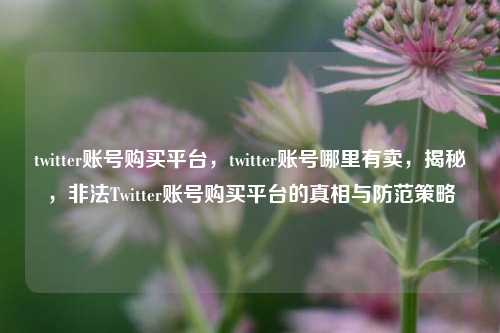 twitter账号购买平台，twitter账号哪里有卖，揭秘，非法Twitter账号购买平台的真相与防范策略