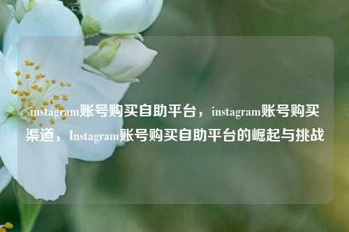 instagram账号购买自助平台，instagram账号购买渠道，Instagram账号购买自助平台的崛起与挑战
